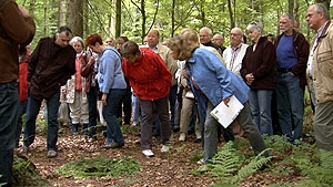 Filmplakat Übergang: Zukunftsfriedhof Wald