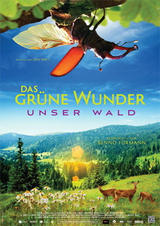 Filmplakat Das grüne Wunder - Unser Wald