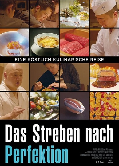 Filmplakat Das Streben nach Perfektion