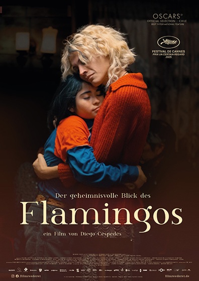 Filmplakat Der geheimnisvolle Blick des Flamingos