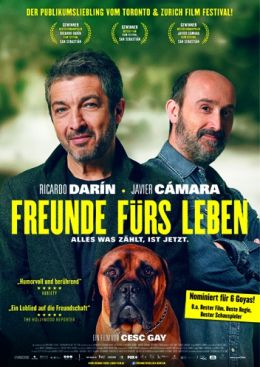 Filmplakat Freunde fürs Leben - Alles was zählt ist jetzt