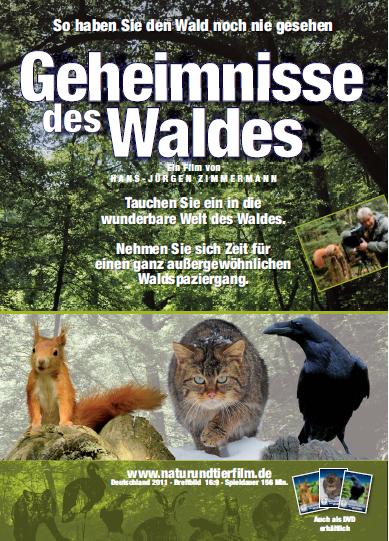 Filmplakat Geheimnisse des Waldes