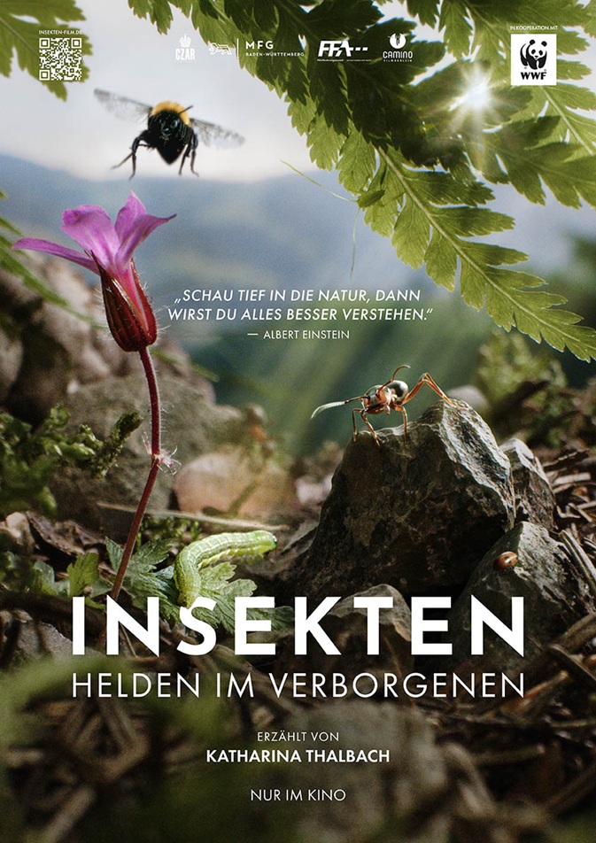 Filmplakat INSEKTEN - Helden im Verborgenen
