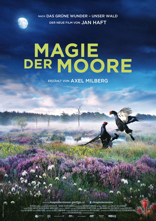 Filmplakat Magie der Moore