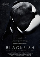 Filmplakat Blackfish - OmU